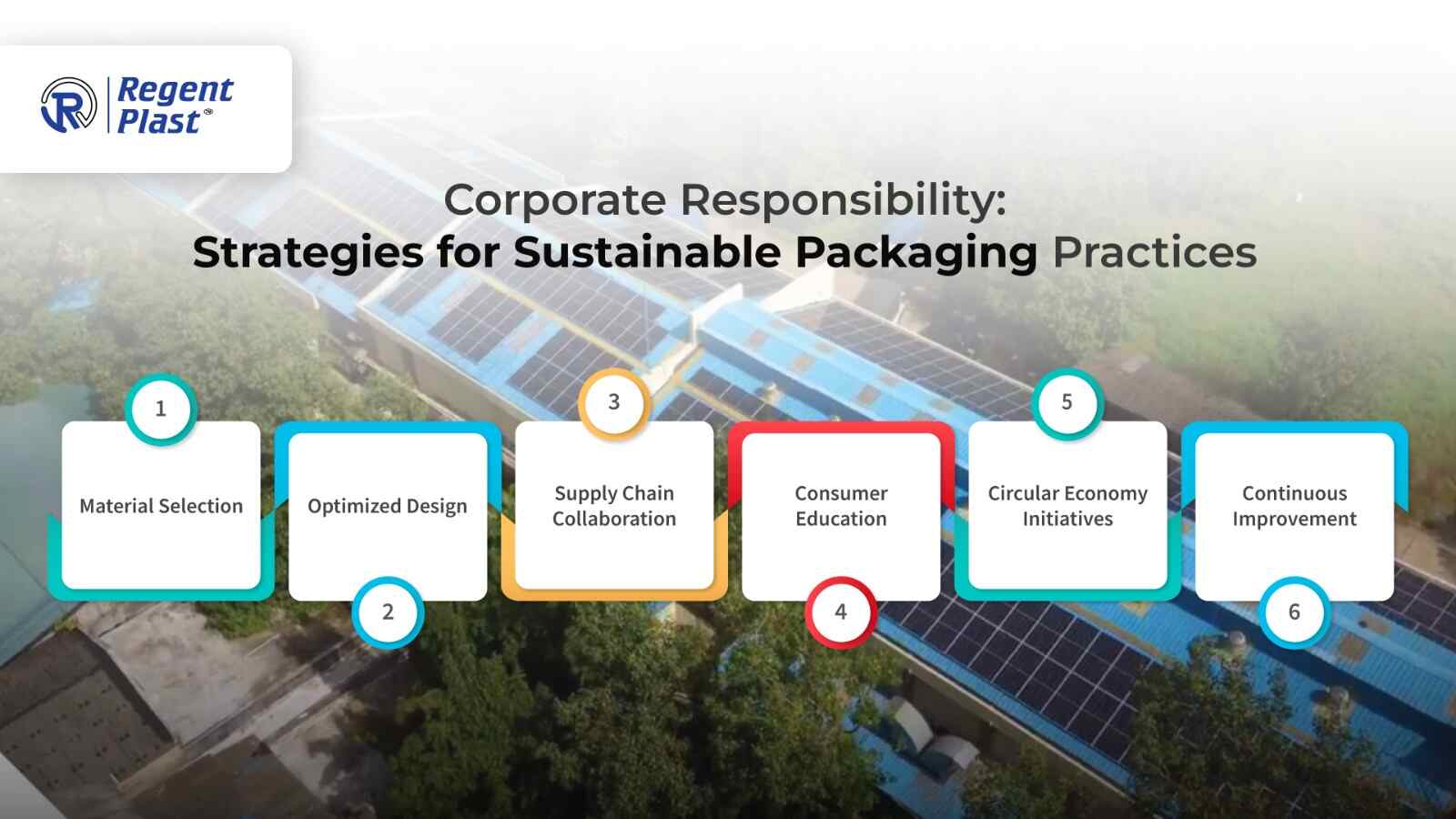 Sustainable Packaging Strategies For Corporations